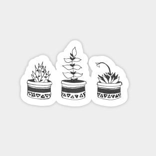 Succulent Trio-- cactus art, trendy gifts, nature lovers Sticker